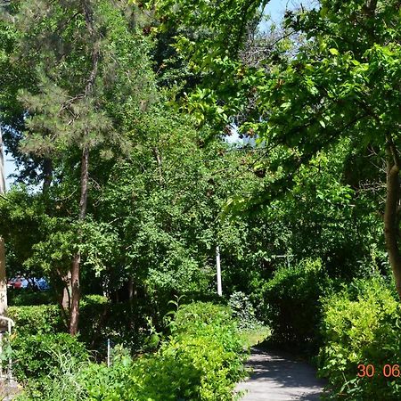 Apartament Antonia Sat Vacanta Köstence Dış mekan fotoğraf